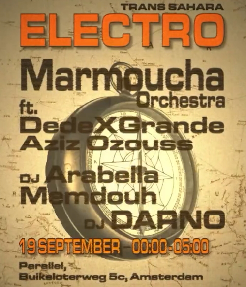 Trans Sahara Electro